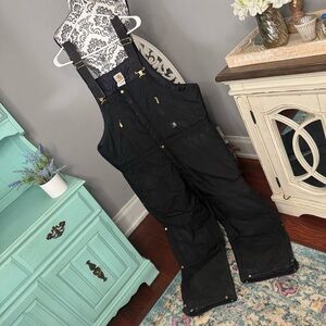 Carhartt Lined Zip Front Cargo Bib Overalls Size 42x30 Black
